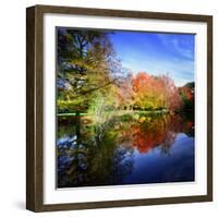 Hallucination Fall-Philippe Sainte-Laudy-Framed Photographic Print