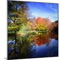 Hallucination Fall-Philippe Sainte-Laudy-Mounted Photographic Print