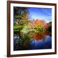 Hallucination Fall-Philippe Sainte-Laudy-Framed Photographic Print