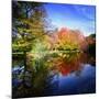 Hallucination Fall-Philippe Sainte-Laudy-Mounted Photographic Print