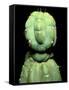 Hallucinogenic San Pedro Cactus, Ecuador-Sinclair Stammers-Framed Stretched Canvas