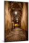 Hallway at Cesky Krumlov Castle in the Czech Republic-Chuck Haney-Mounted Photographic Print