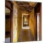 Hallway of an Abandoned Building in Butte, Montana-James White-Mounted Photographic Print