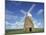 Halnaker Windmill on Top of Halnaker Hill in South Downs, Halnaker, West Sussex, England, UK-Pearl Bucknall-Mounted Photographic Print