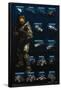 Halo 3 - Chart - Humanity-Trends International-Framed Poster