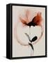 Halo Flowers No 7-Treechild-Framed Stretched Canvas