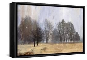 Halo-Andrew Michaels-Framed Stretched Canvas