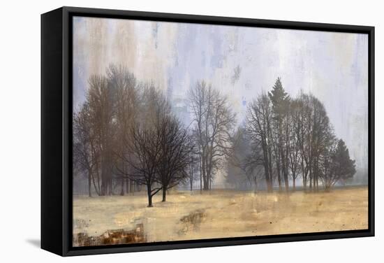 Halo-Andrew Michaels-Framed Stretched Canvas