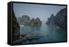 Halong Bay, UNESCO World Heritage Site, Vietnam, Indochina, Southeast Asia, Asia-Yadid Levy-Framed Stretched Canvas