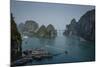 Halong Bay, UNESCO World Heritage Site, Vietnam, Indochina, Southeast Asia, Asia-Yadid Levy-Mounted Photographic Print