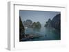 Halong Bay, UNESCO World Heritage Site, Vietnam, Indochina, Southeast Asia, Asia-Yadid Levy-Framed Photographic Print