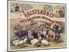 Halstead and Co. Beef and Pork Packers, Lard Refiners and Co.-null-Mounted Giclee Print