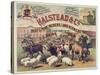 Halstead and Co. Beef and Pork Packers, Lard Refiners and Co.-null-Stretched Canvas