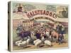 Halstead and Co. Beef and Pork Packers, Lard Refiners and Co.-null-Stretched Canvas