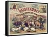 Halstead and Co. Beef and Pork Packers, Lard Refiners and Co.-null-Framed Stretched Canvas