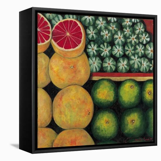 Halved Grapefruit, 1999-Pedro Diego Alvarado-Framed Stretched Canvas