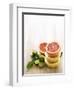 Halved Grapefruits and Limes-Louise Lister-Framed Photographic Print