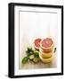 Halved Grapefruits and Limes-Louise Lister-Framed Photographic Print