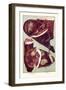 Ham and Bacon-null-Framed Art Print