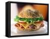 Ham and Cheese Sandwich-ATU Studios-Framed Stretched Canvas
