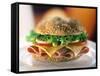 Ham and Cheese Sandwich-ATU Studios-Framed Stretched Canvas