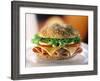 Ham and Cheese Sandwich-ATU Studios-Framed Photographic Print