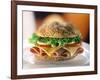 Ham and Cheese Sandwich-ATU Studios-Framed Photographic Print