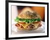 Ham and Cheese Sandwich-ATU Studios-Framed Photographic Print