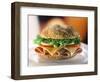 Ham and Cheese Sandwich-ATU Studios-Framed Photographic Print