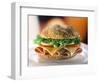 Ham and Cheese Sandwich-ATU Studios-Framed Photographic Print