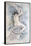 Hamadryade, C1850-1898-Felicien Joseph Victor Rops-Framed Stretched Canvas