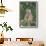 Hamadryas Baboon-DLILLC-Framed Premium Photographic Print displayed on a wall