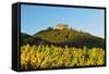 Hambach Castle and Vineyard Landscape-Jochen Schlenker-Framed Stretched Canvas