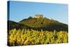 Hambach Castle and Vineyard Landscape-Jochen Schlenker-Stretched Canvas