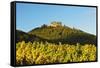 Hambach Castle and Vineyard Landscape-Jochen Schlenker-Framed Stretched Canvas