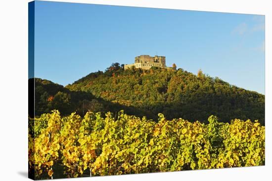 Hambach Castle and Vineyard Landscape-Jochen Schlenker-Stretched Canvas