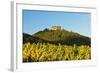 Hambach Castle and Vineyard Landscape-Jochen Schlenker-Framed Photographic Print