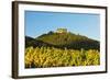 Hambach Castle and Vineyard Landscape-Jochen Schlenker-Framed Photographic Print