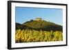 Hambach Castle and Vineyard Landscape-Jochen Schlenker-Framed Photographic Print