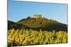 Hambach Castle and Vineyard Landscape-Jochen Schlenker-Mounted Photographic Print