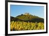 Hambach Castle and Vineyard Landscape-Jochen Schlenker-Framed Photographic Print