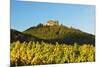 Hambach Castle and Vineyard Landscape-Jochen Schlenker-Mounted Photographic Print