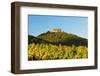 Hambach Castle and Vineyard Landscape-Jochen Schlenker-Framed Photographic Print