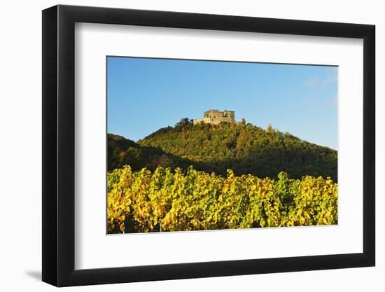 Hambach Castle and Vineyard Landscape-Jochen Schlenker-Framed Photographic Print