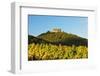 Hambach Castle and Vineyard Landscape-Jochen Schlenker-Framed Photographic Print