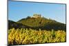 Hambach Castle and Vineyard Landscape-Jochen Schlenker-Mounted Photographic Print