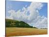 Hambledon Hill Fort, Fields, Clouds, 2010-Peter Breeden-Stretched Canvas