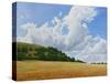 Hambledon Hill Fort, Fields, Clouds, 2010-Peter Breeden-Stretched Canvas