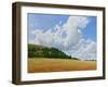 Hambledon Hill Fort, Fields, Clouds, 2010-Peter Breeden-Framed Giclee Print