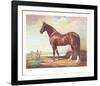 Hambletonian-Helen Hayse-Framed Limited Edition